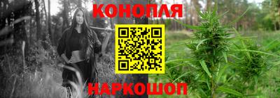 шишки Балахна