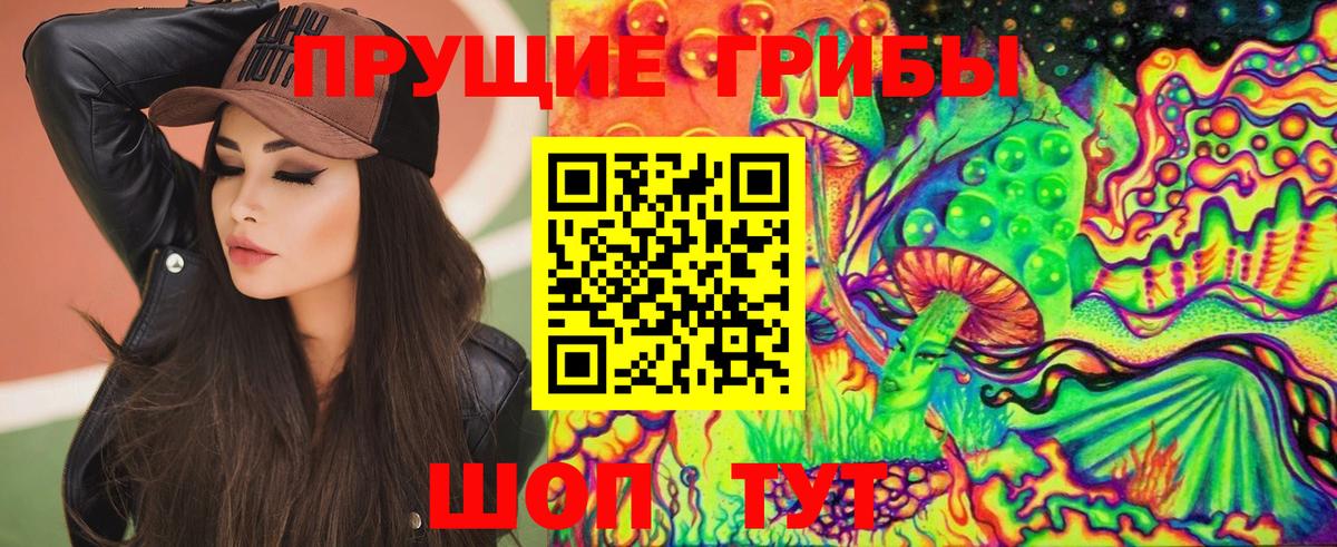 Елизово  Псилоцибиновые грибы мицелий  Вход с VPN 