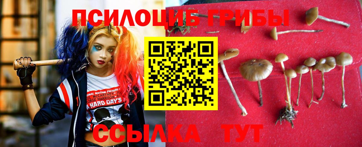 Псилоцибиновые грибы мухоморы Елизово